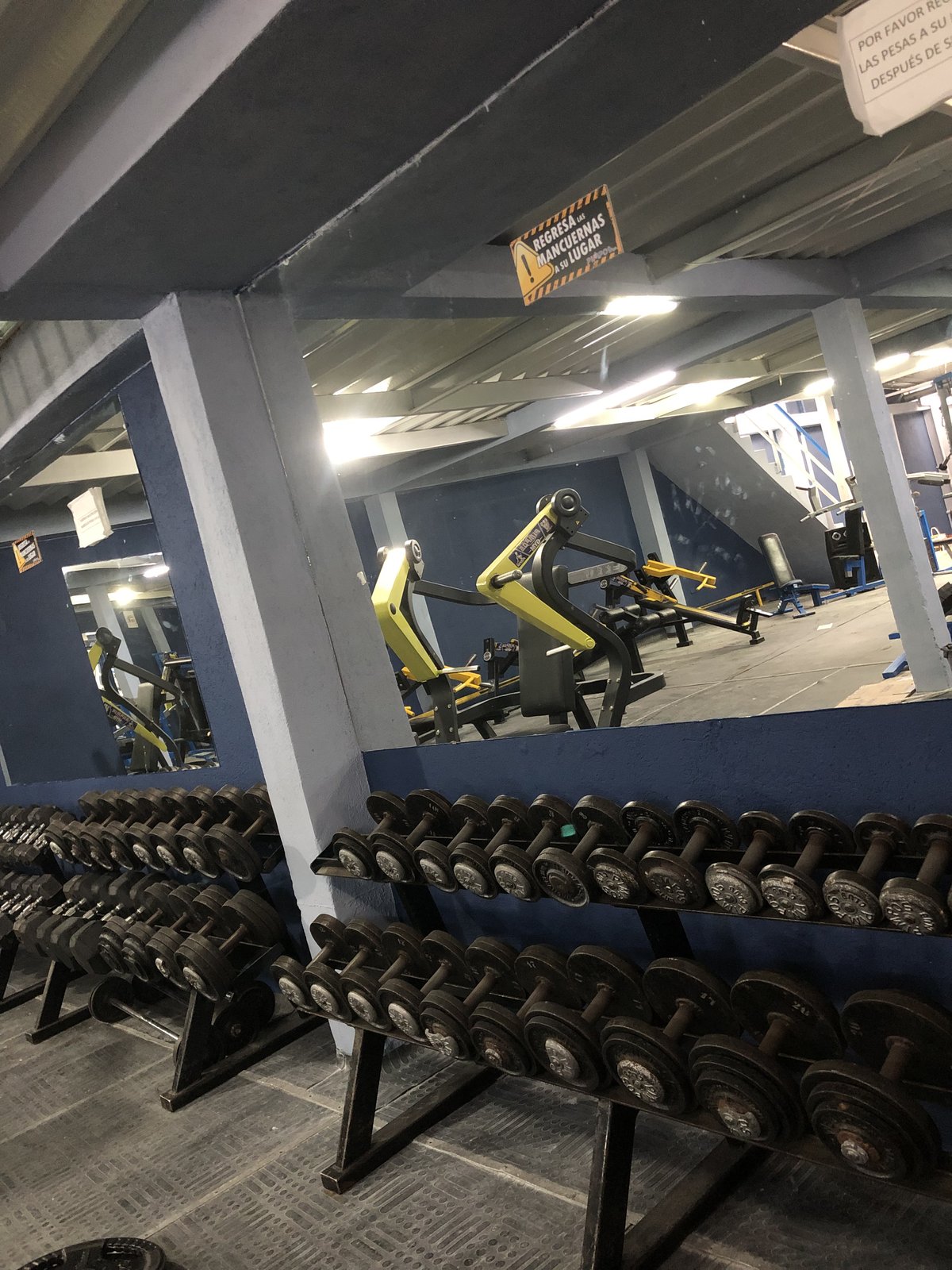 Rack de mancuernas completo - Pimpos Gym