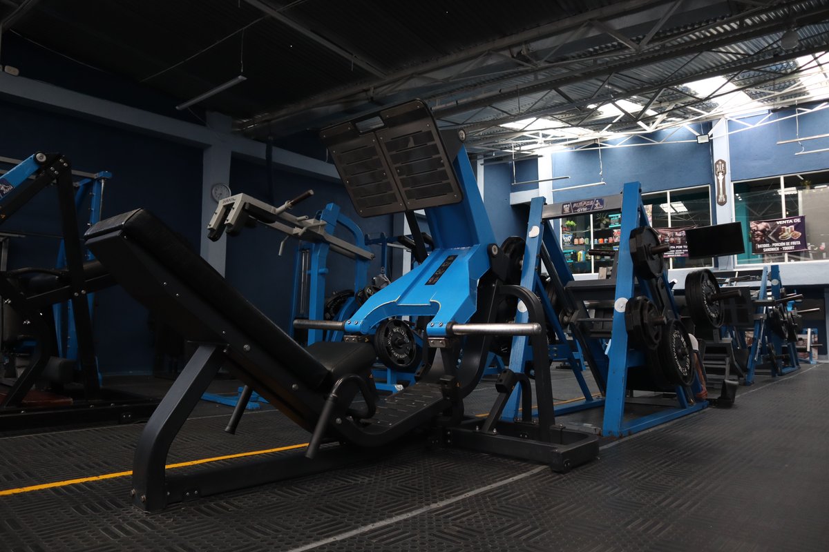 Máquinas de prensa y pierna - Pimpos Gym
